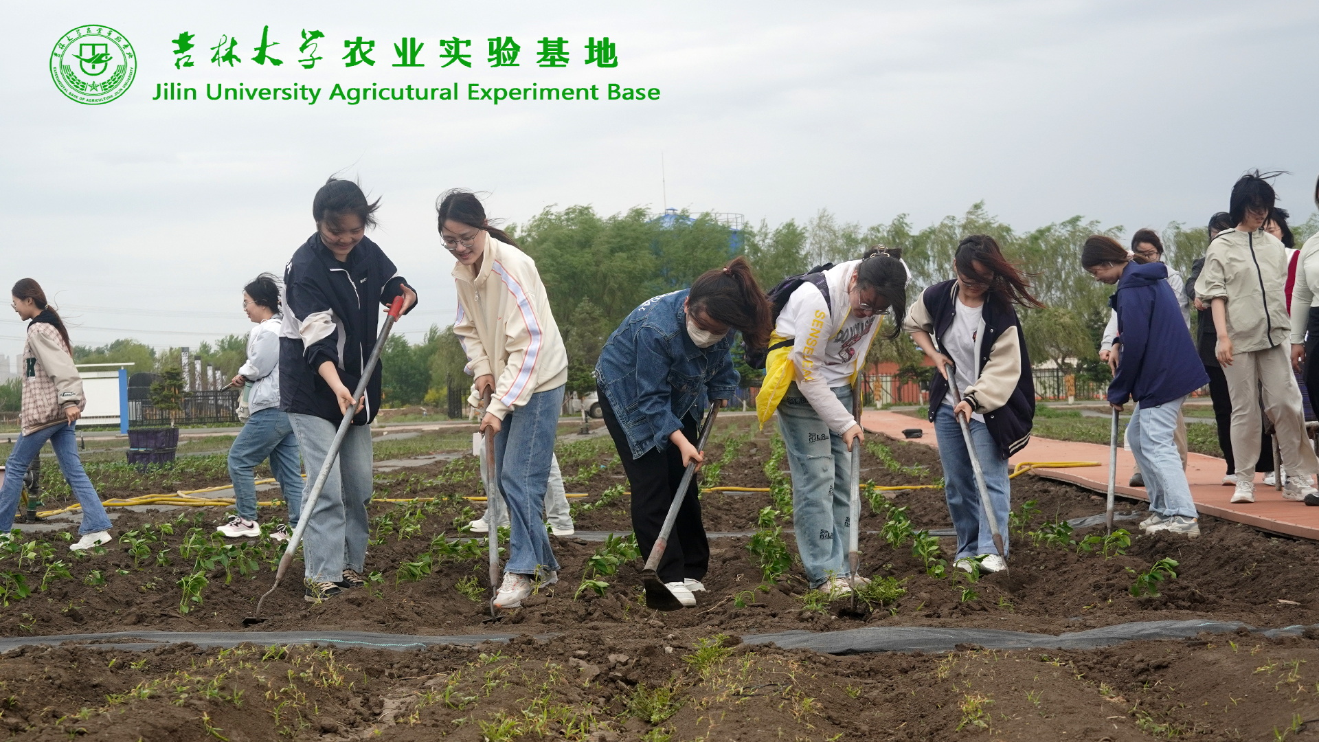 科技与劳动新闻资讯稿(与劳动科技相关的议论文作文高中)下载